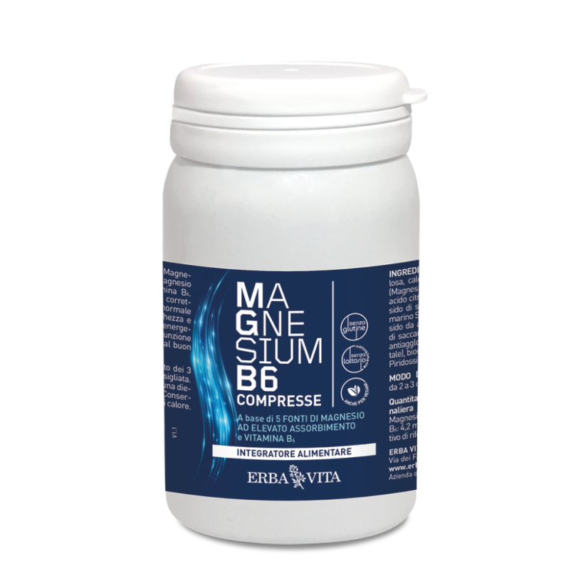 MAGNESIUM B6 COMPRESSE doplněk stravy - hořčík a B6 - únava, vyčerpání